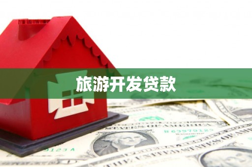 新华旅游开发贷款