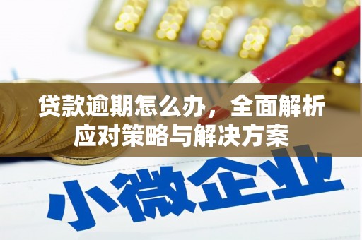 新华贷款逾期怎么办，全面解析应对策略与解决方案