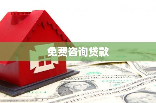 新华免费咨询贷款