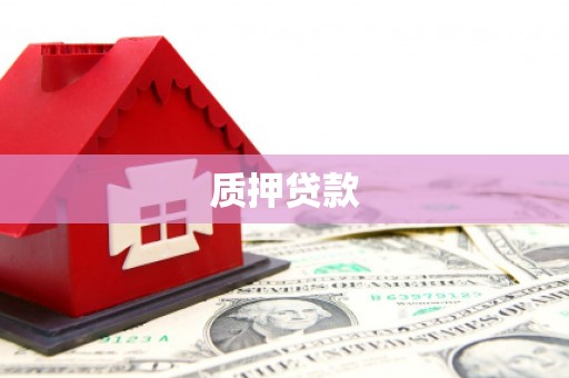 新华质押贷款