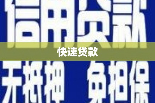新华快速贷款