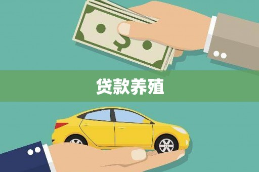 新华贷款养殖