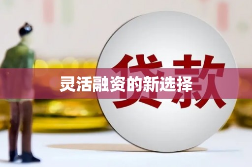 新华灵活融资的新选择