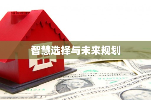 新华智慧选择与未来规划