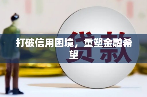 新华打破信用困境，重塑金融希望