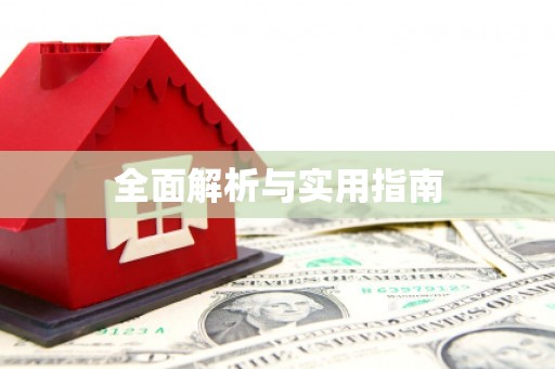 新华全面解析与实用指南