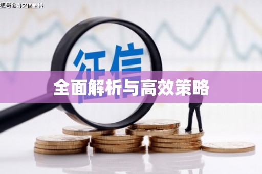 新华全面解析与高效策略