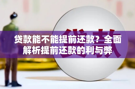 新华贷款能不能提前还款？全面解析提前还款的利与弊