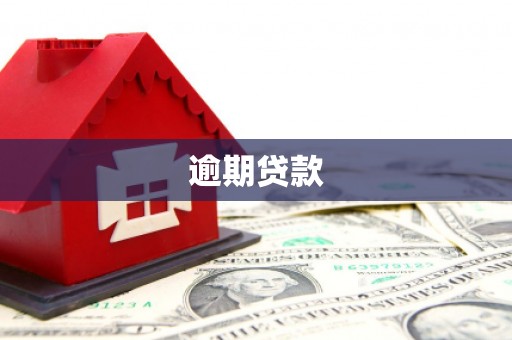 新华逾期贷款