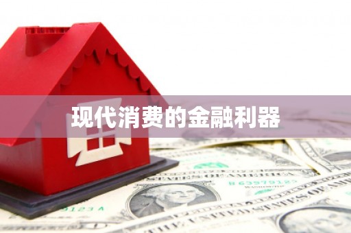 新华现代消费的金融利器