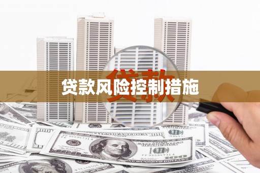 新华贷款风险控制措施