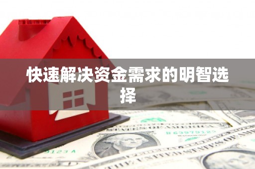 新华快速解决资金需求的明智选择