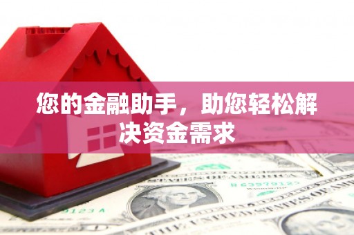 新华您的金融助手，助您轻松解决资金需求
