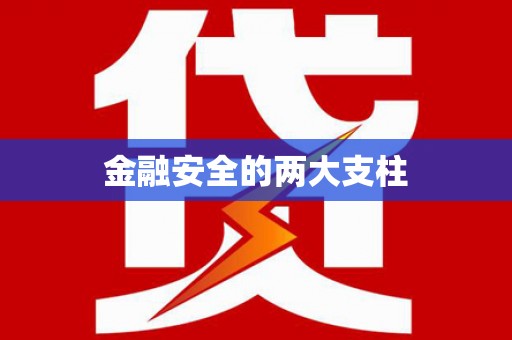 新华金融安全的两大支柱