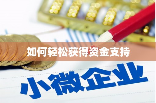 新华如何轻松获得资金支持