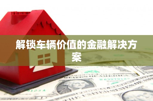 新华解锁车辆价值的金融解决方案