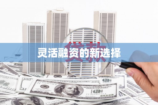 新华灵活融资的新选择