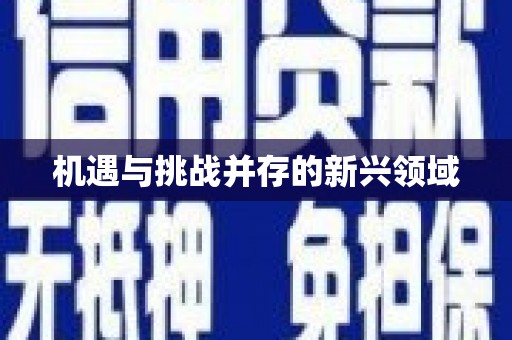 新华机遇与挑战并存的新兴领域