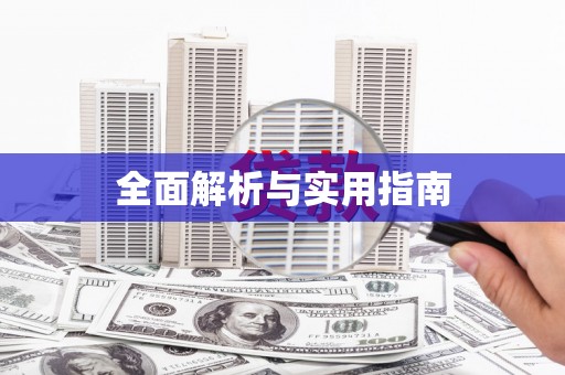 新华全面解析与实用指南