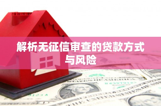 新华解析无征信审查的贷款方式与风险