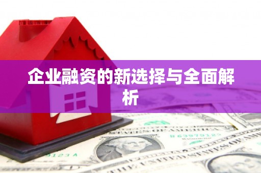 新华企业融资的新选择与全面解析