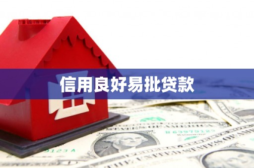 新华信用良好易批贷款