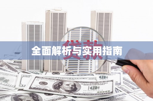 新华全面解析与实用指南