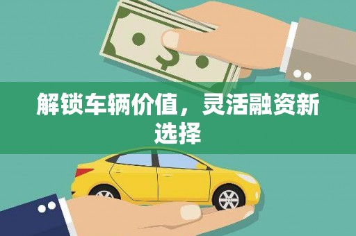 新华解锁车辆价值，灵活融资新选择