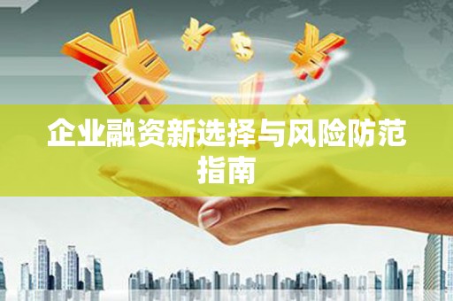 新华企业融资新选择与风险防范指南