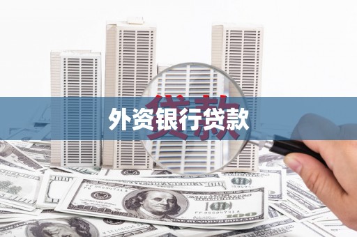 新华外资银行贷款