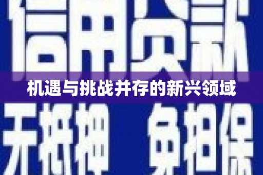 新华机遇与挑战并存的新兴领域
