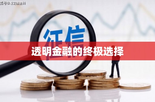 新华透明金融的终极选择