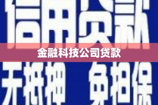 新华金融科技公司贷款