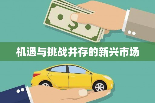 新华机遇与挑战并存的新兴市场