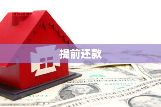 新华提前还款