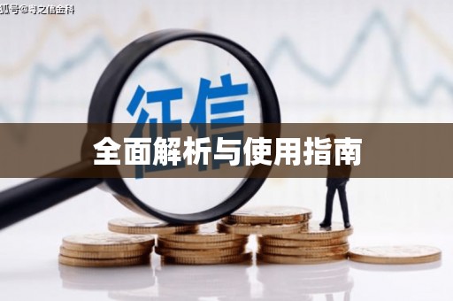 新华全面解析与使用指南