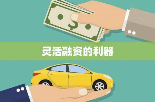 新华灵活融资的利器