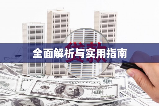新华全面解析与实用指南