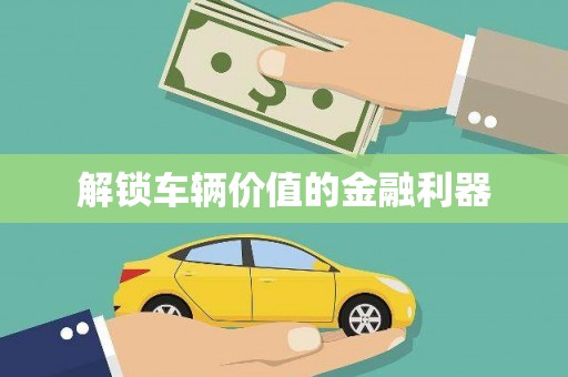 新华解锁车辆价值的金融利器