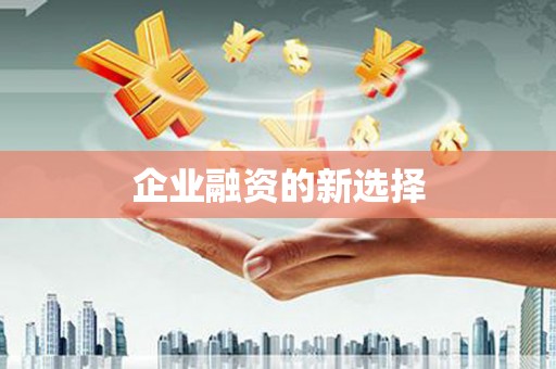 新华企业融资的新选择