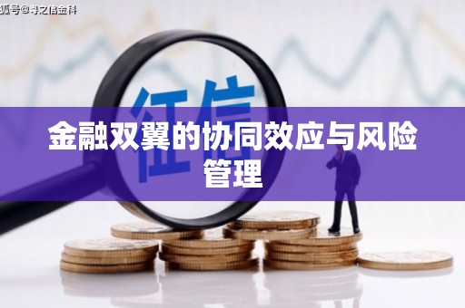 新华金融双翼的协同效应与风险管理