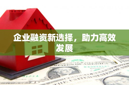 新华企业融资新选择，助力高效发展