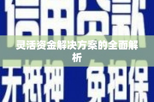 新华灵活资金解决方案的全面解析