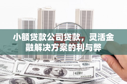 新华小额贷款公司贷款，灵活金融解决方案的利与弊