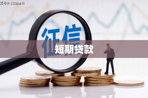 新华短期贷款
