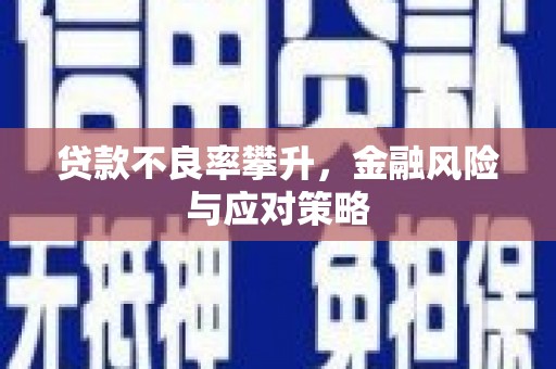 新华贷款不良率攀升，金融风险与应对策略