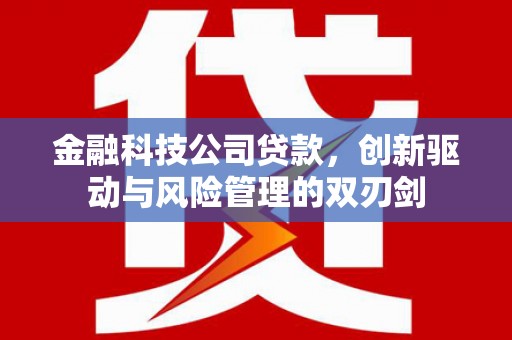 新华金融科技公司贷款，创新驱动与风险管理的双刃剑