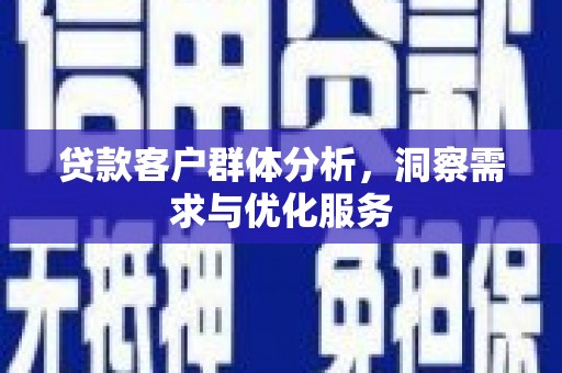 新华贷款客户群体分析，洞察需求与优化服务