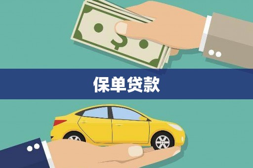 新华保单贷款