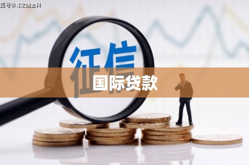 新华国际贷款